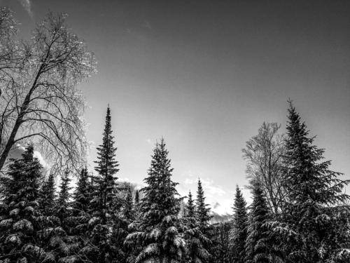 chalet-la-romane-location-laurentides-exit-chalets_171120_1