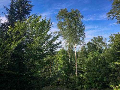 chalet-la-romane-location-laurentides-exit-chalets_190718_10