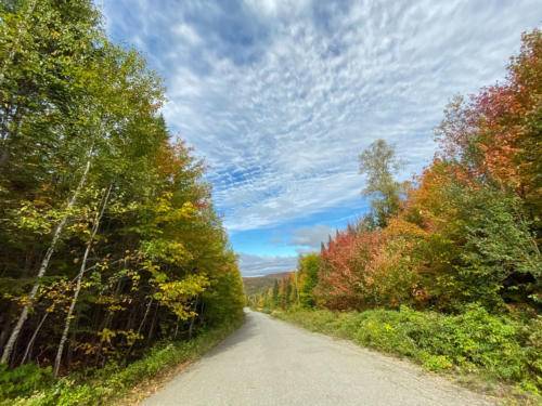 chalet-la-romane-location-laurentides-exit-chalets_191002_13